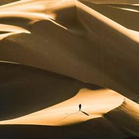 Lenny - Dune