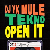 Dj Yk Mule - Open It (Explicit)