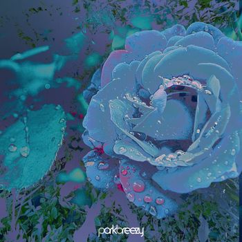 parkbreezy - Last Forever