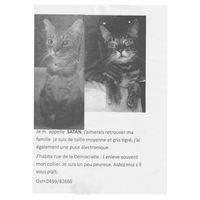 Flavien Berger - Ciao Satan