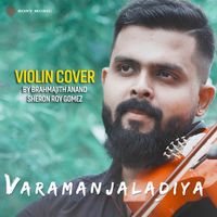 Vidhu Prathap - Varamanjaladiya (Recreated Version)