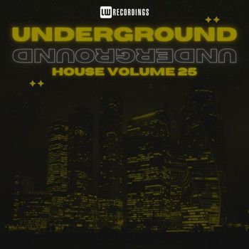 Various Artists - Underground House, Vol. 25