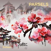 salwa - parsels