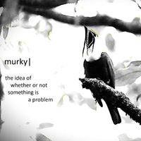 Murky - The Idea of Whether or Not Something Is a Problem