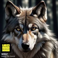 gabry the sound - Wolf