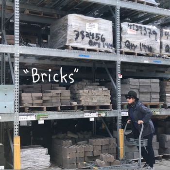 Amy Rigby - Bricks