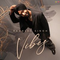 Ravneet Singh - Vibes