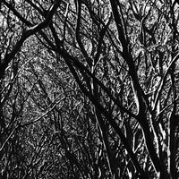 Ken Martin - All That You Can Do