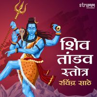 Ravindra Sathe - Shiv Tandav Stotra