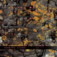 Monolake - Studio