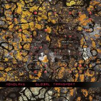Monolake - Global Transport