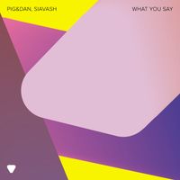 Pig&Dan & Siavash - What You Say (Extended Version)