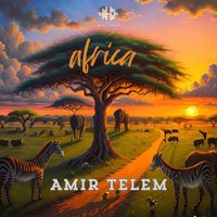 Amir Telem - Africa