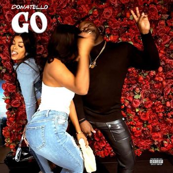 Donatello - Go (Explicit)