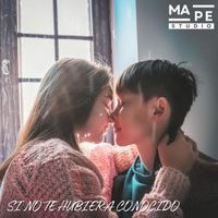 Mape - Si no te hubiera conocido