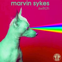 Marvin Sykes - Switch (Extended Mix)