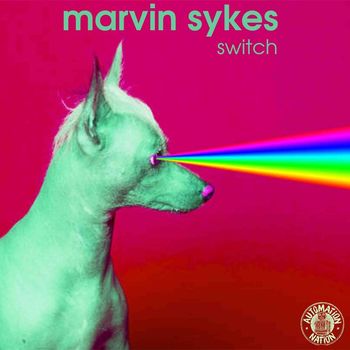 Marvin Sykes - Switch (Extended Mix)