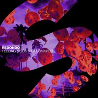 Redondo - Feeling Good (feat. Shayee) (Extended Mix)