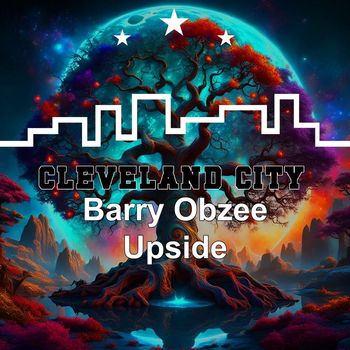 Barry Obzee - Upside