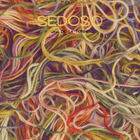 Javi de la Torre - Sedoso