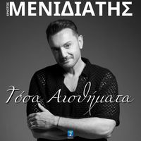 Christos Menidiatis - Tosa Aisthimata