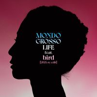 Mondo Grosso feat. bird - LIFE (2024 re-edit)