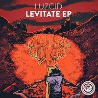LUZCID - Levitate