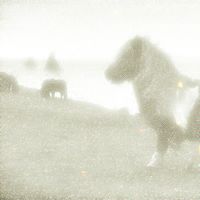 One Over - Groovy Donkey (Explicit)