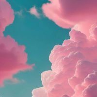 Flyswatter - Fall from the Clouds