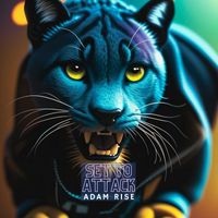 Adam Rise - Set to Attack