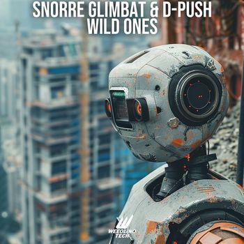 Snorre Glimbat, D-Push - Wild Ones (Techno Version)