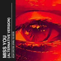 Assaf Spector - Miss You (Alternative Version)