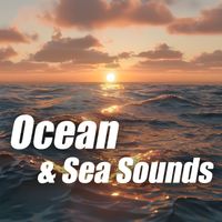 Sea Sounds - Ocean & Sea Sounds