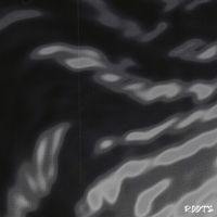 Mighty Duck - Roots