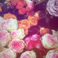 ABM - All The Flowers in Scotland (Explicit)