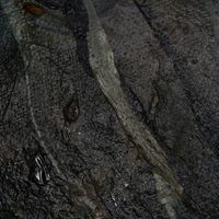 Friedensreich - AXX