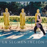 ALBA - La segmentación