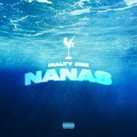 MALTY 2BZ - Nanas (Explicit)