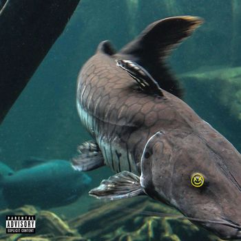 nineteen97 - CATFISH (Explicit)