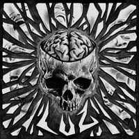 LUZ - OWN THE MADNESS (Explicit)