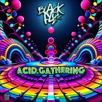 Black Fly - Acid Gathering