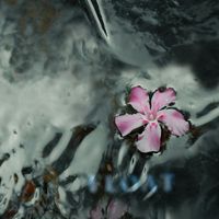 Illusion of Safety - Float