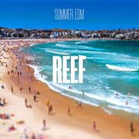 MOOB - Summer EDM Reef