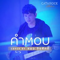 แมว จิรศักดิ์ - คำตอบ