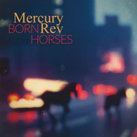 Mercury Rev - A Bird Of No Address
