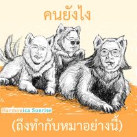 Harmonica Sunrise - คนยังไง(ถึงทำกับหมาอย่างนี้)