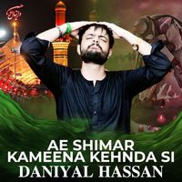 Daniyal Hassan - Ae Shimar Kameena Kehnda Si - Single