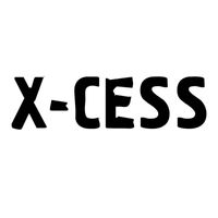 X-Cess - Дурачок (Explicit)