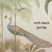 Rsrch Chmcls - Feel Like
