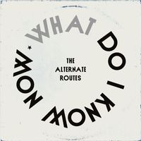 The Alternate Routes - What Do I Know Now